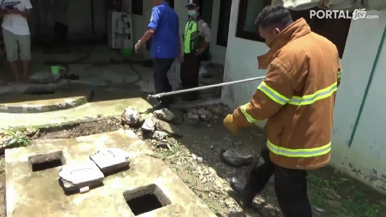 Bersarang di Septic Tank, Damkar Tuban Tangkap 8 Anakan Ular Kobra