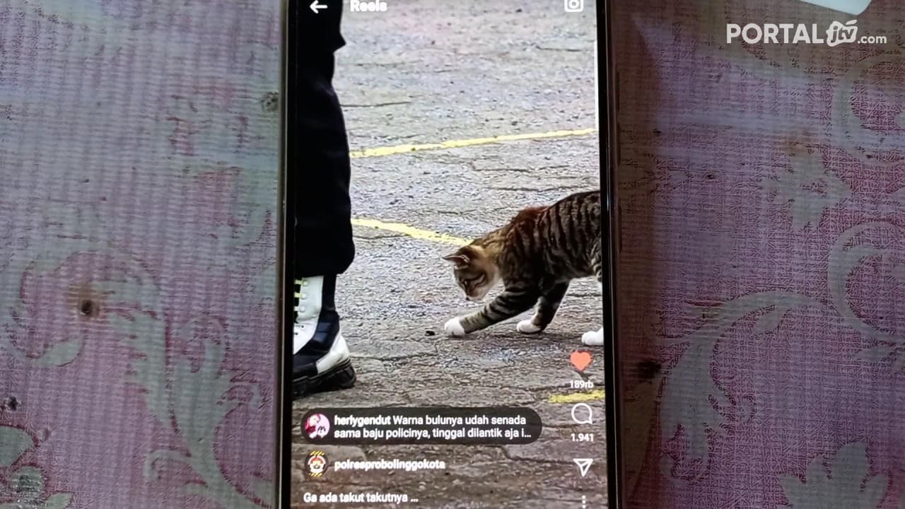 Viral Kucing Mendampingi Kapolres Ikut Apel