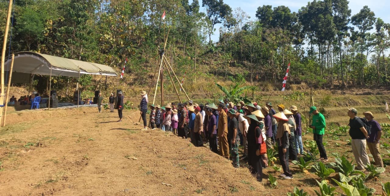 Petani di Madiun Gelar Upacara di Kebun Tembakau