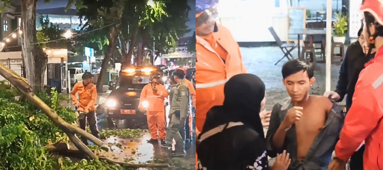 Diterjang Hujan Deras Berangin Kencang, Pohon Trembesi Tumbang Timpa Ibu dan Anak