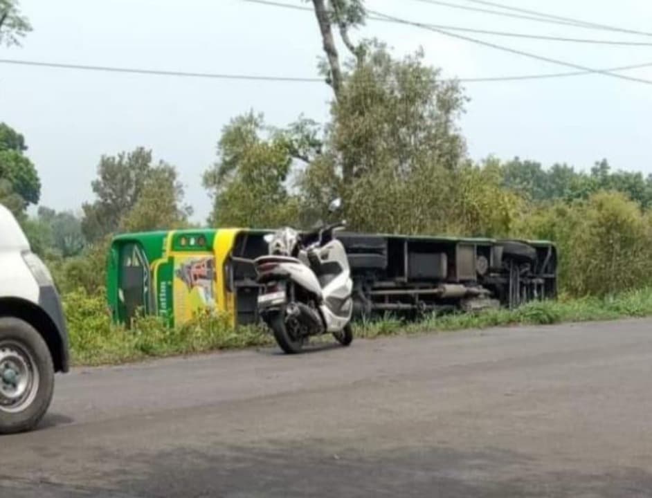 Hindari Pemotor, Bus Trans Jatim Terguling di Hutan Kayu Putih Mojokerto