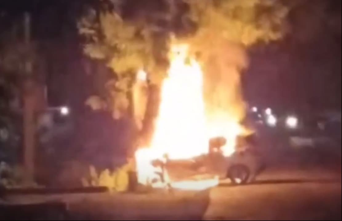 Terbakar usai Tabrak Pohon, Sopir dan Penumpang Honda Brio Tewas Terpanggang