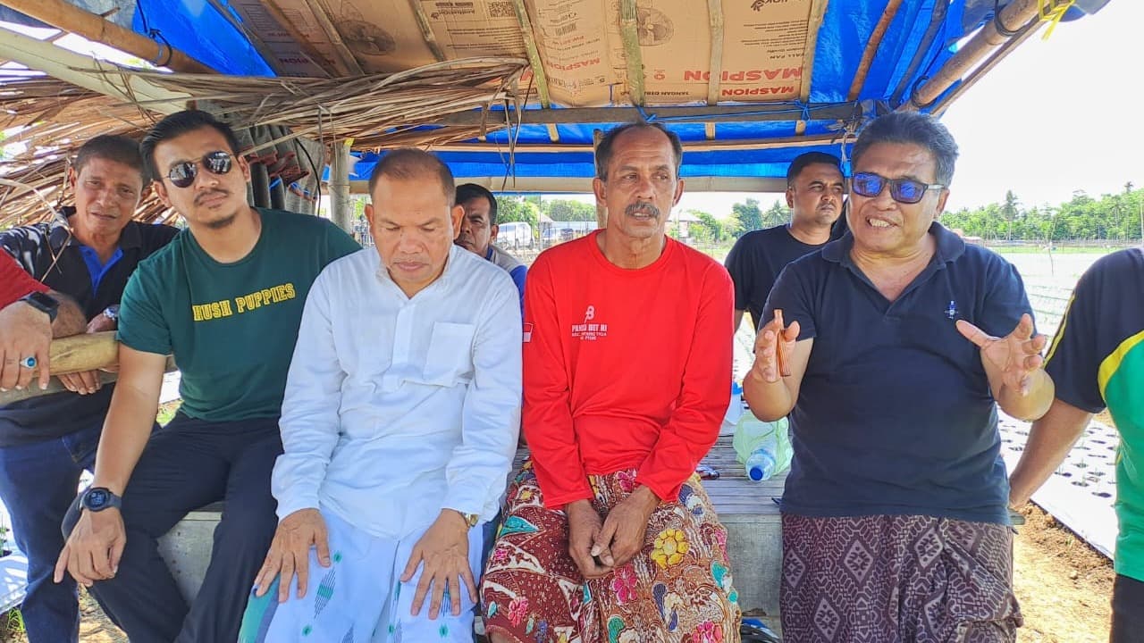 Tanggulangi 5 Masalah Besar, PJ Bupati Pidie Berharap Pidie Menjadi Sentra Bawang Merah Nasional