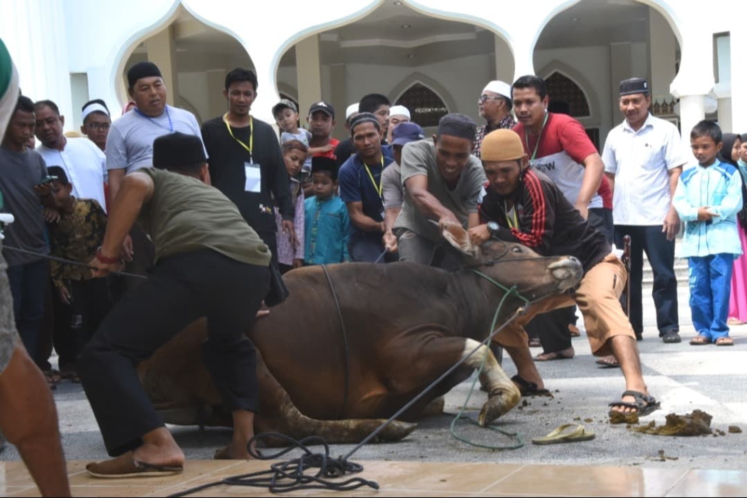 Juleha Temukan Cara Penyembelihan di Pasar Ponorogo Tidak Sesuai Syariat Islam