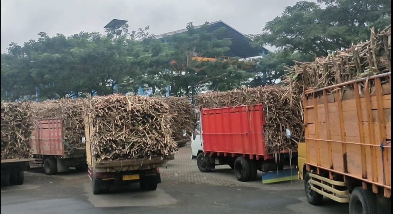 Mulai Giling, SGN PG Glenmore Siap Penuhi Kebutuhan Gula Konsumsi