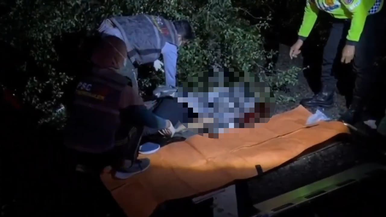 Pengendara Motor Tewas Tertimpa Pohon Tumbang di Jalan Nasional Trenggalek-Tulungagung