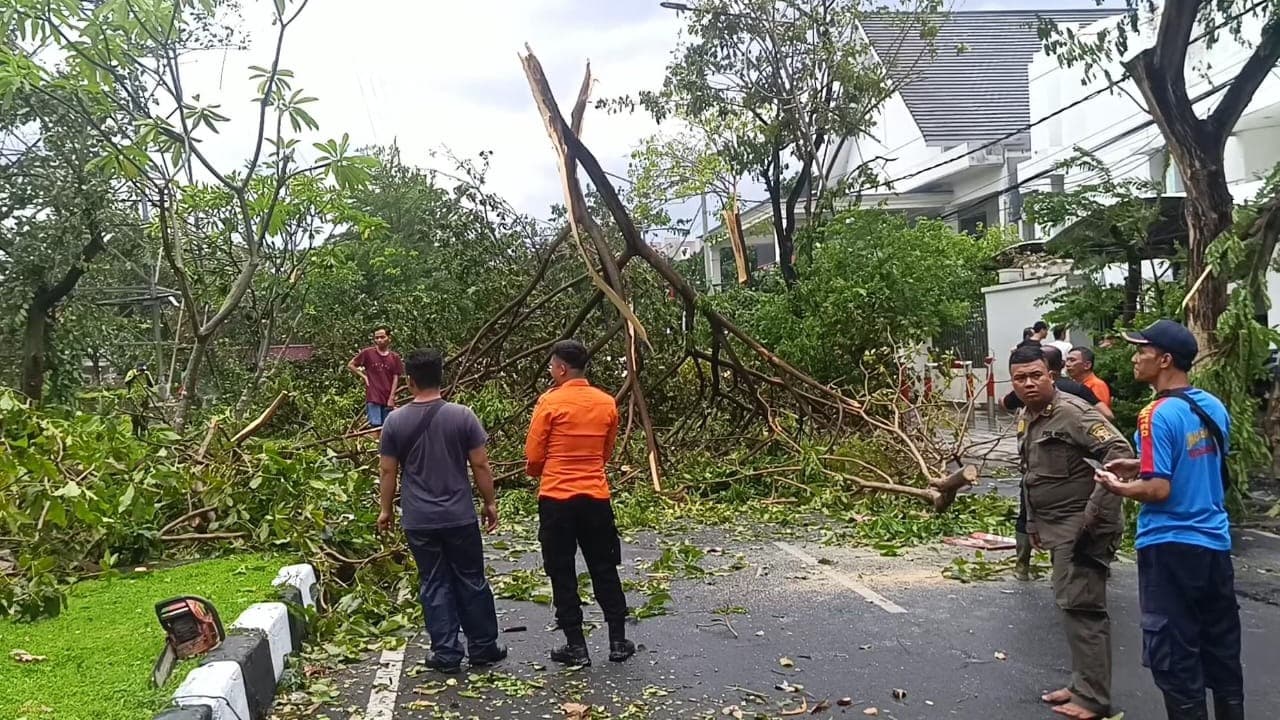 Angin Puting Beliung Terjang Surabaya Timur, 8 Pohon Tumbang dan Mobil Masuk SungaI