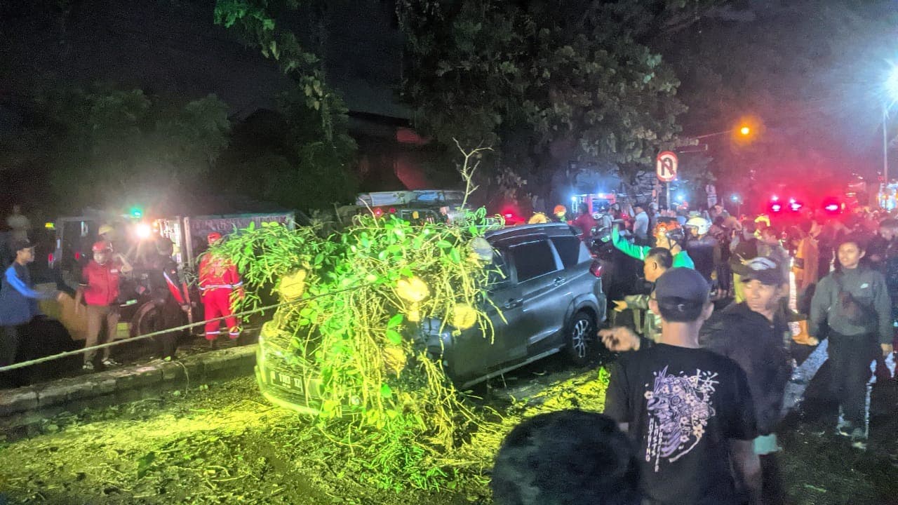 Pohon di Singosari Malang Tumbang Timpa 5 Kendaraan, 2 Orang Tewas