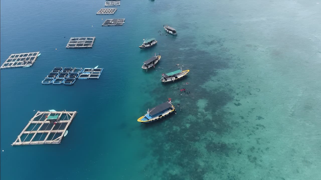 Panen Ikan Kerapu, Nelayan di Gili Ketapang Raup Untung Setengah Miliar