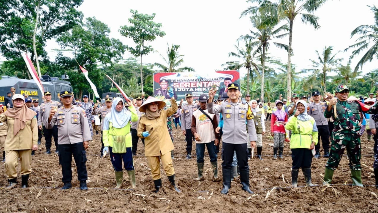 Dukung Program Nasional Swasembada Ketahanan Pangan, Banyuwangi Siapkan 650 Hektar Lahan