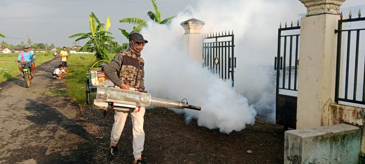Dua Desa di Kecamatan Srono diserang Chikungnguya dan Demam Berdarah