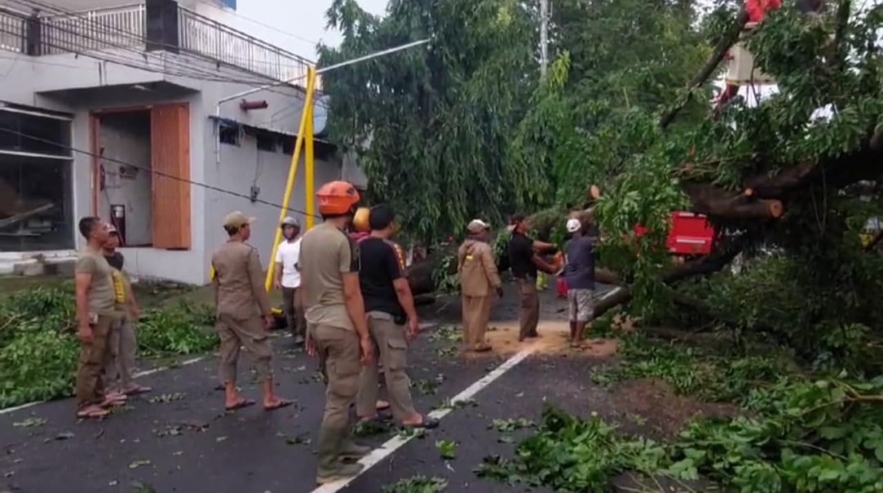 5 Pohon Tumbang dan 15 Rumah Rusak Imbas Angin Kencang di Mojokerto