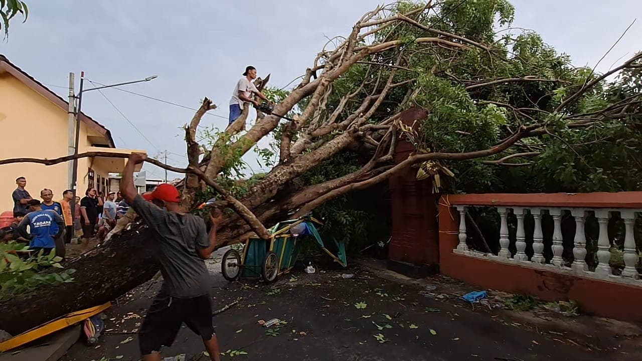 Angin Kencang, Pohon Tumbang Timpa Warung di Kota Mojokerto