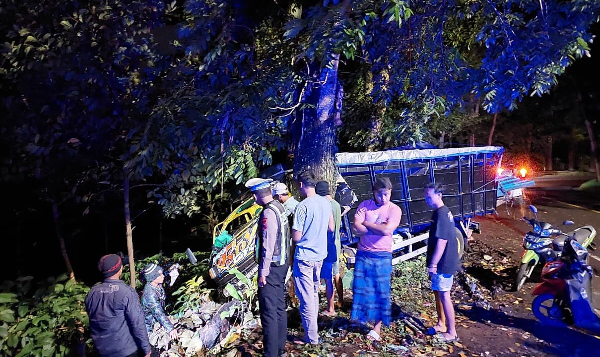 Diduga Rem Blong, Truk Muat Baja Ringan Tabrak Mahoni di Jalur Gumitir Kalibaru