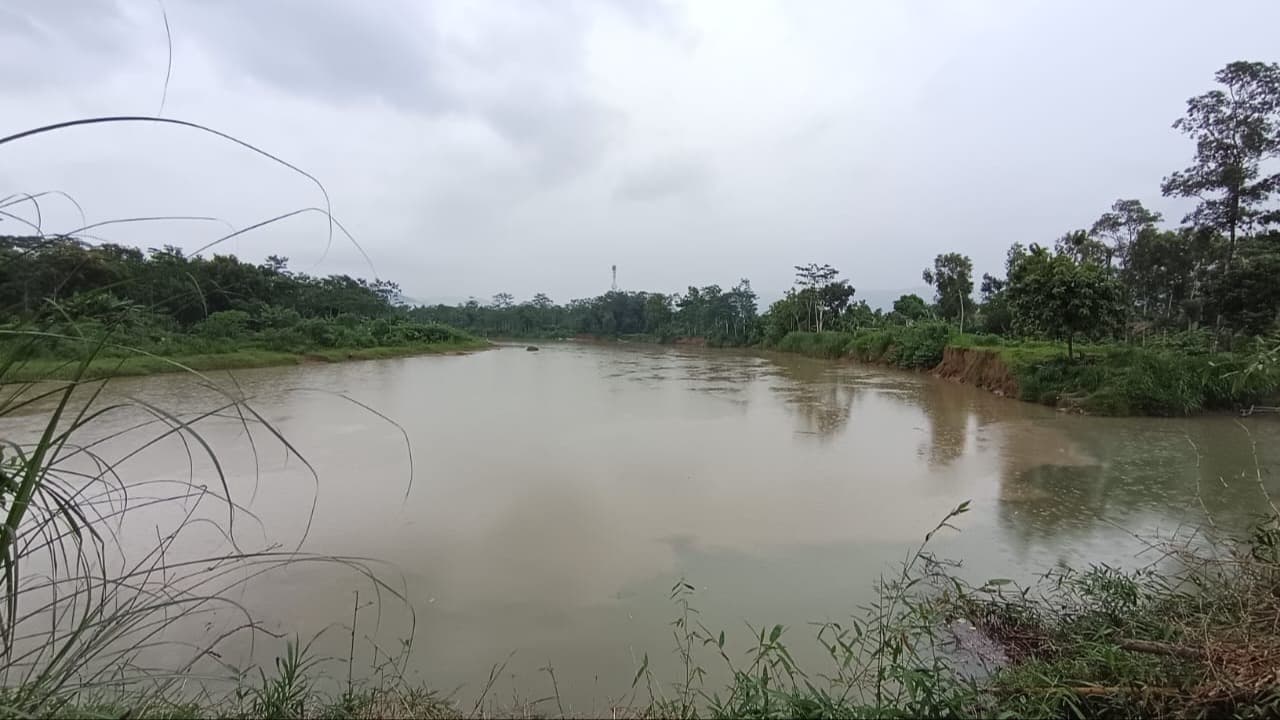 Pertemuan Sungai Jelok dan Grindulu di Pacitan, Diduga Jadi Sarang Buaya?