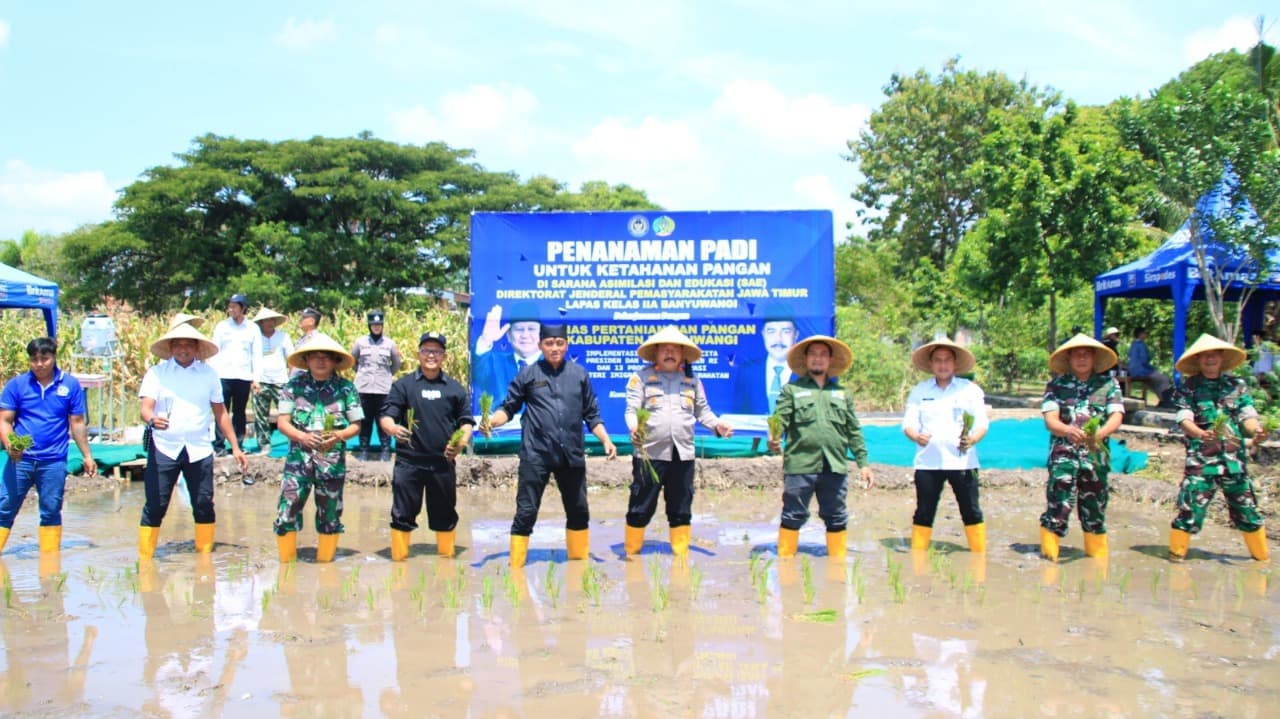 Dukung Program Ketahanan Pangan, Lapas Banyuwangi Tanam Padi di SAE Pakis