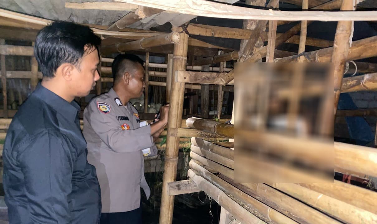 Diduga Perkara Asmara, Pemuda di Banyuwangi Akhiri Hidup di Kandang Kambing