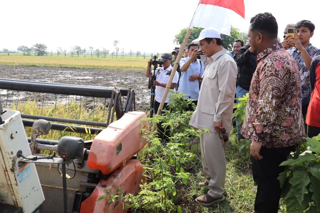 Mentan Amran Apresiasi Produksi Padi di Gresik Capai 9 Ton per Hektare