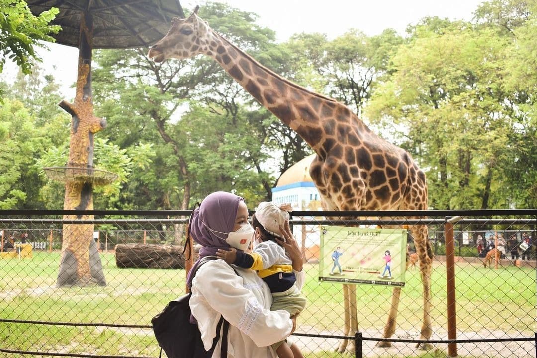 Libur Lebaran, KBS Siapkan Pertunjukan Seni dan Edukasi Satwa