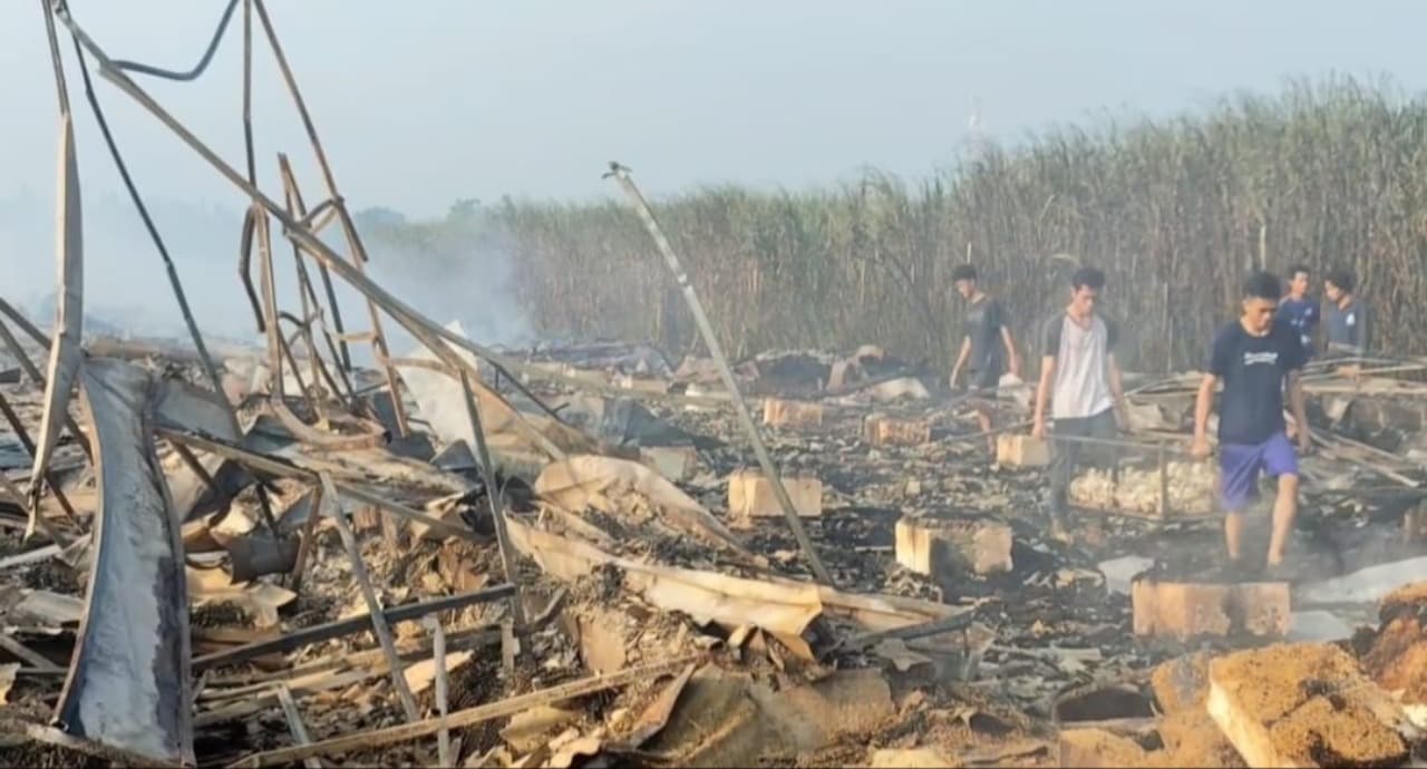 Kandang di Mojokerto Terbakar, 50 ribu Anak Ayam Mati Terpanggang