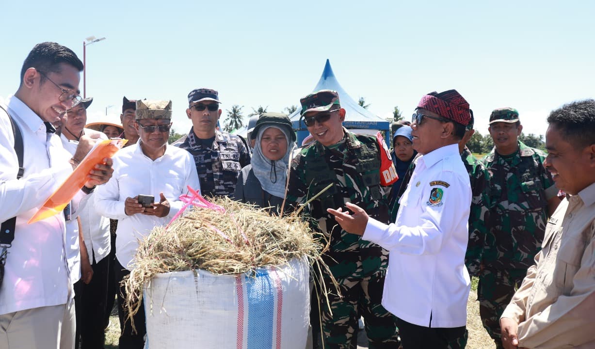 Dukung Program Swasembada Pangan Presiden, Banyuwangi Lakukan Panen Raya Padi Serentak