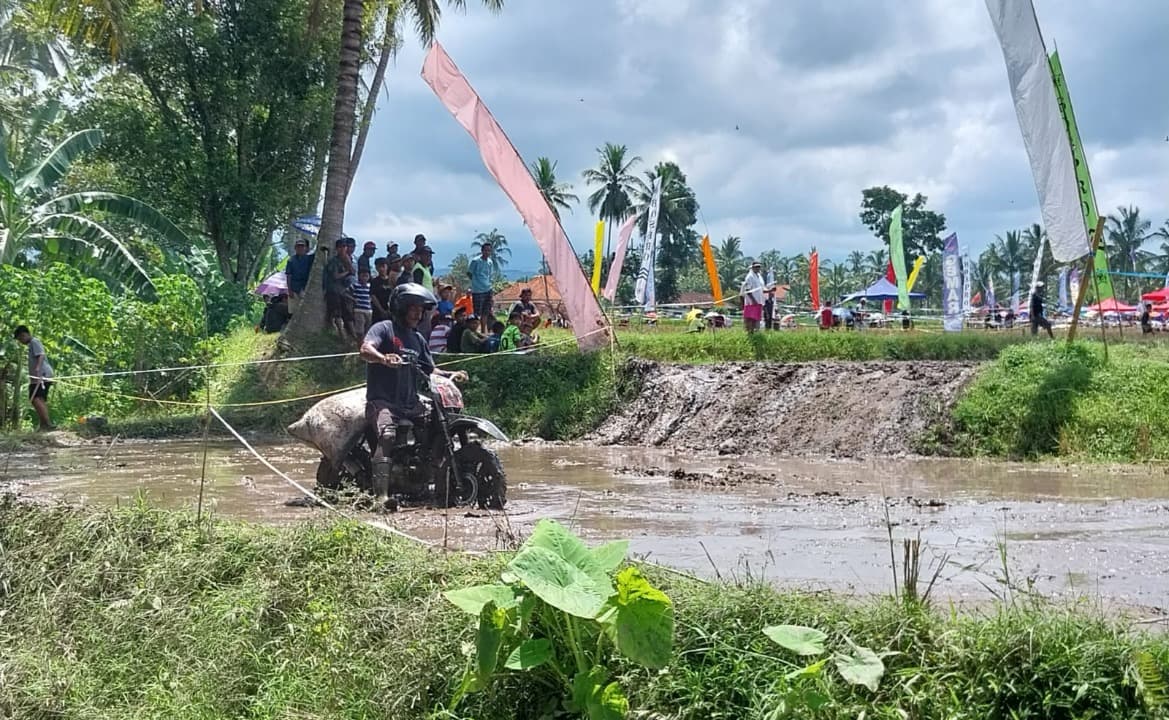 Pemangkul Gabah Balapan Sepeda Motor di Lahan Sawah