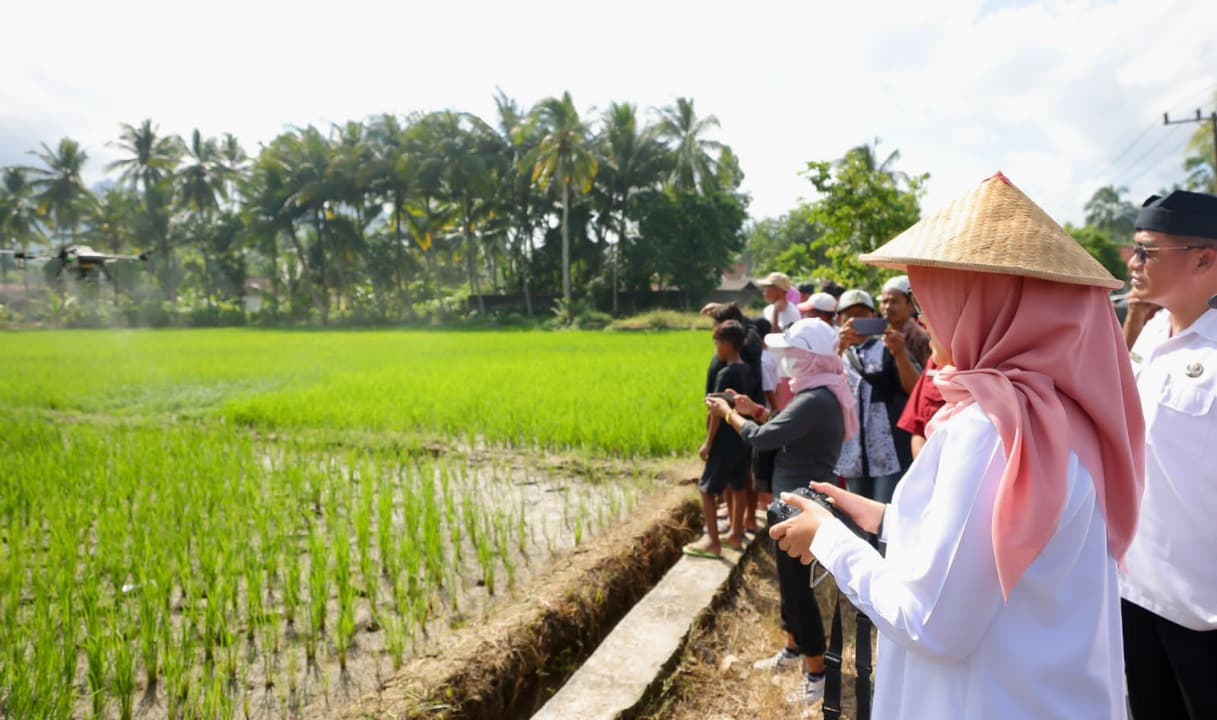 Banyuwangi Targetkan Produksi 800 Ribu Ton Beras pada 2025 Untuk Dukung Swasembada Pangan Nasional