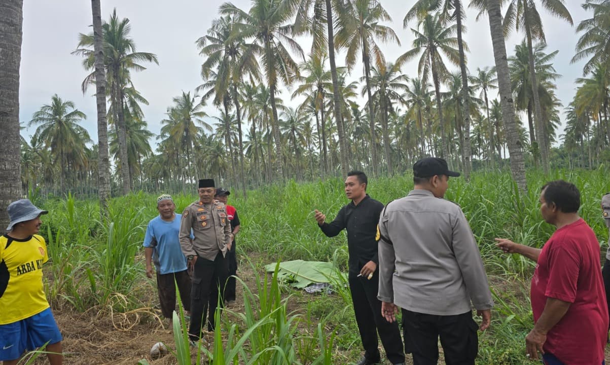 Hendak Cari Rumput, Warga Banyuwangi Temukan Mayat di Ladang