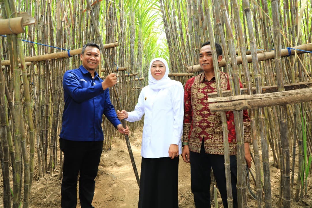 Program KUR Khusus Petani Tebu, Dirut PT SGN Optimis Swasembada Gula Tercapai di Tahun 2027
