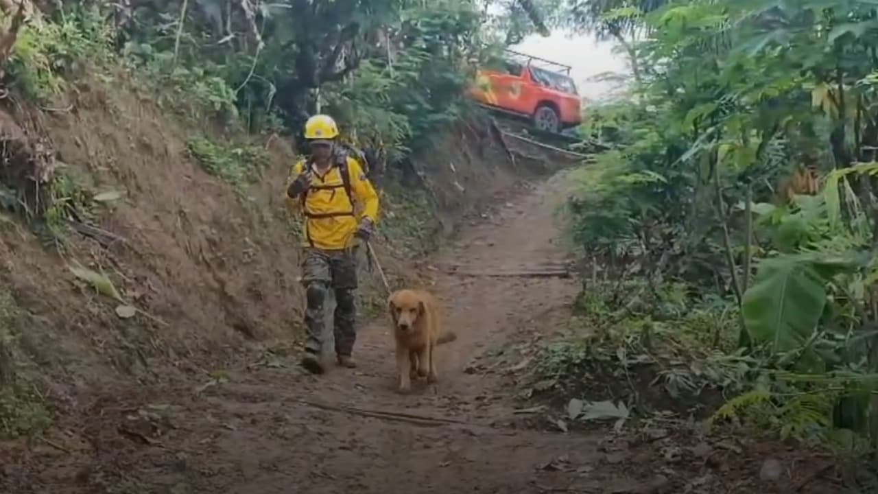 Tim SAR Kerahkan 150 Personel dan 4 Anjing Pelacak Cari 6 Korban Longsor di Trenggalek