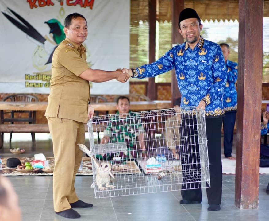 Tekan Hama Tikus, Pemkab Banyuwangi Sebar Ratusan Burung Hantu
