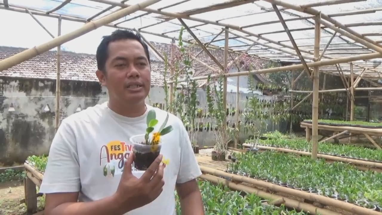 Hobi Anggrek Bisa Bikin Tajir? Ini Buktinya!