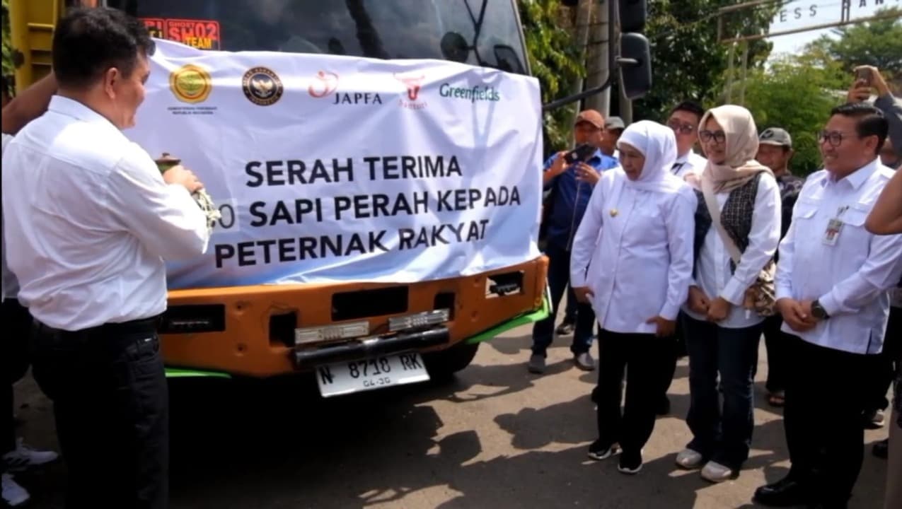 Jawa Timur Ditarget Jadi Lumbung Susu Nasional, 1.080 Sapi Perah Impor Didatangkan dari Australia