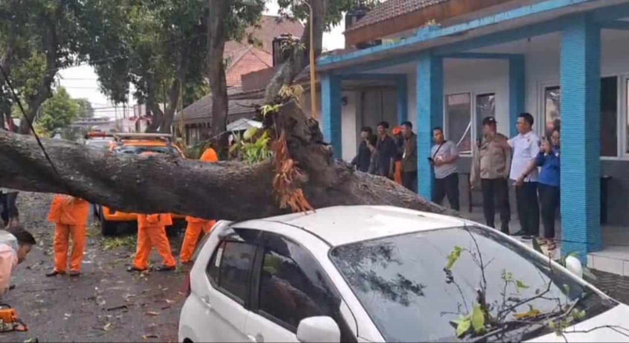 Saat Mengajar, Mobil Guru Tata Boga UPT BLK Mojokerto Tertimpa Pohon Tumbang