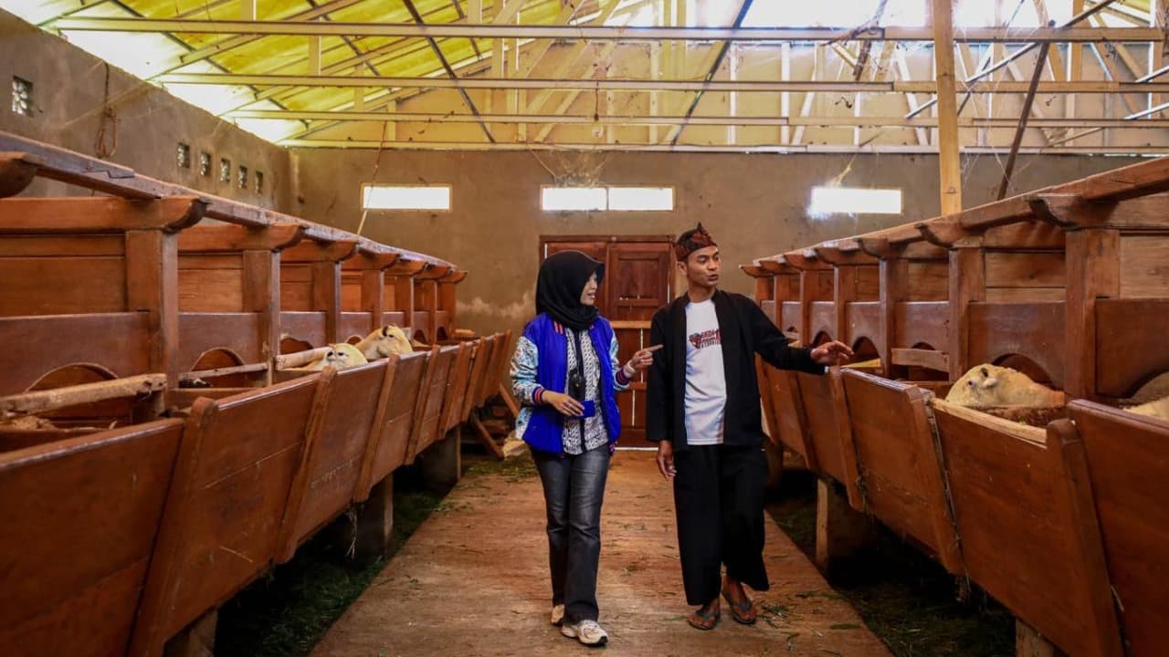 Penyaluran KUR BRI Dorong Setengah Juta Pengusaha UMKM Naik Kelas