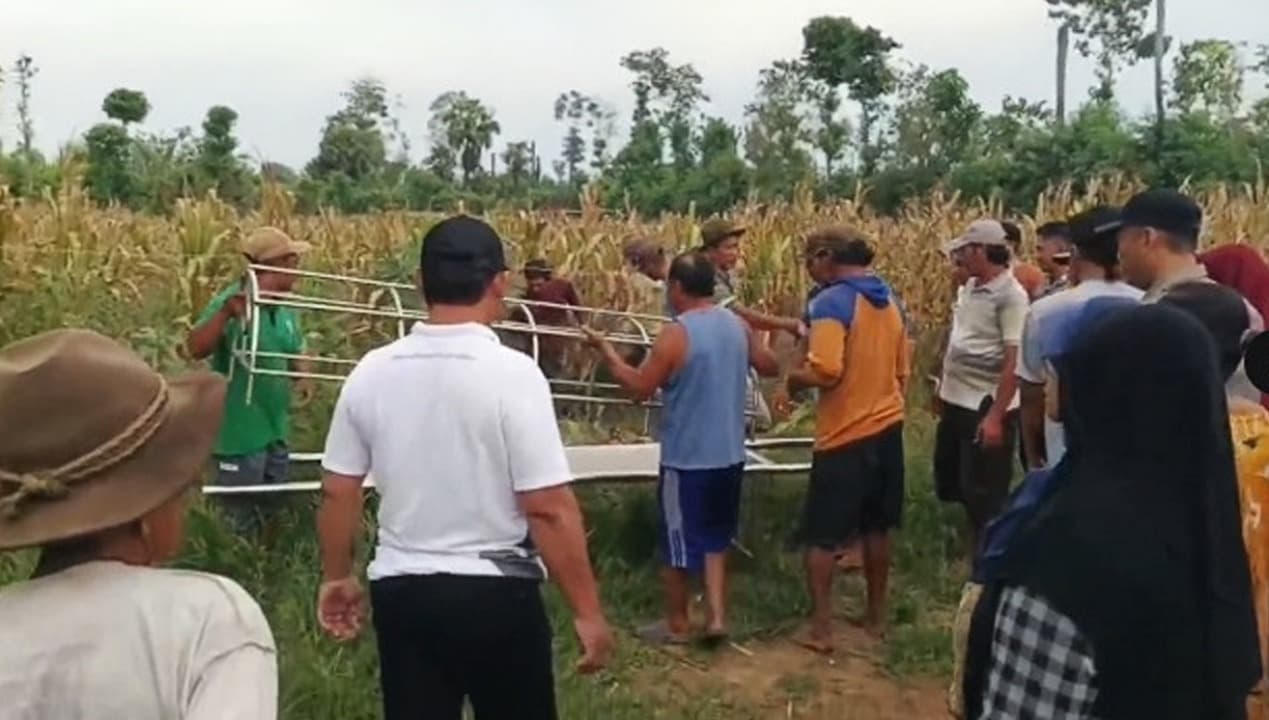 Hendak Panen Jagung, Warga Tuban Meninggal Usai Tersengat Listrik
