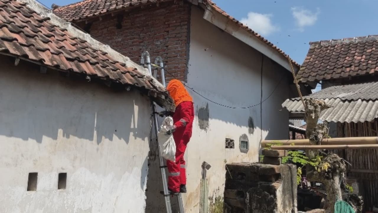Niat Tolong Warga, Petugas Damkar Justru Jadi Korban Sengatan Tawon