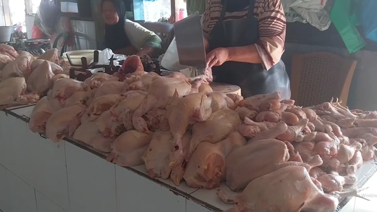 Harga Daging Ayam di Magetan Tembus Rp 34 Ribu, Pedagang Keluhkan Penjualan Menurun