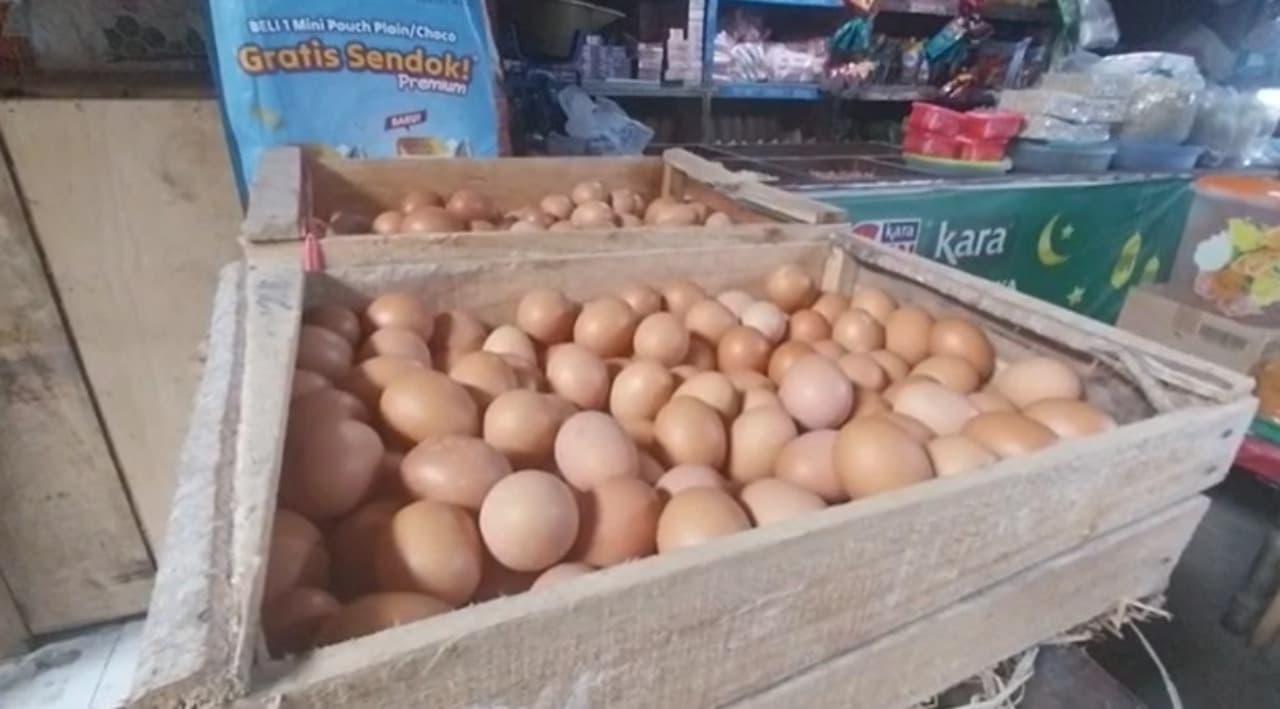 Harga Telur di Magetan Terus Naik, Pedagang Mengeluh Untung Sedikit