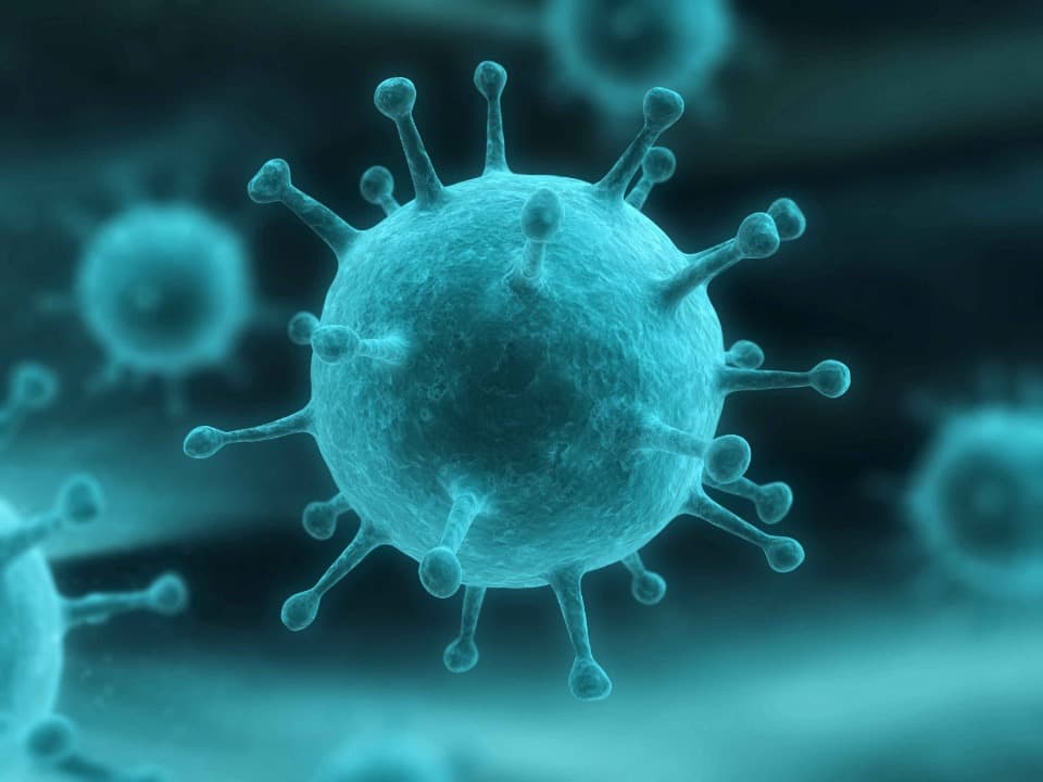 Waspada! Kasus Influenza Meningkat di Ibu Kota