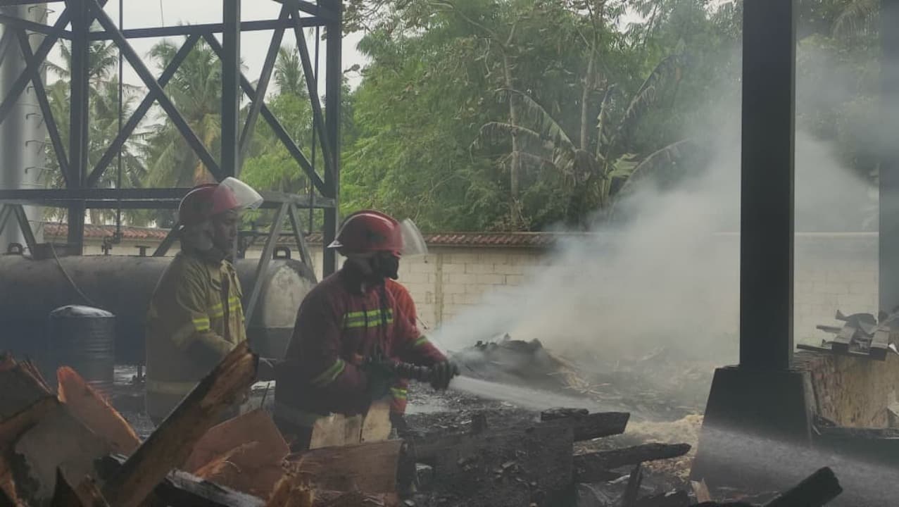 Pabrik Triplek di Glenmore Banyuwangi, Terbakar, Kerugian Capai Rp 300 Juta