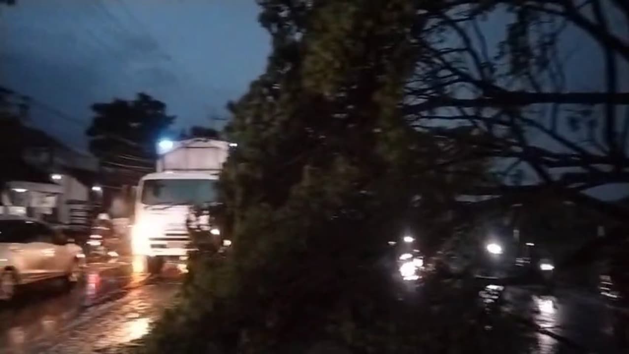 Hujan Deras dan Angin Kencang Terjang Sukodadi–Glagah, Pohon Tumbang hingga Kubah Masjid Roboh