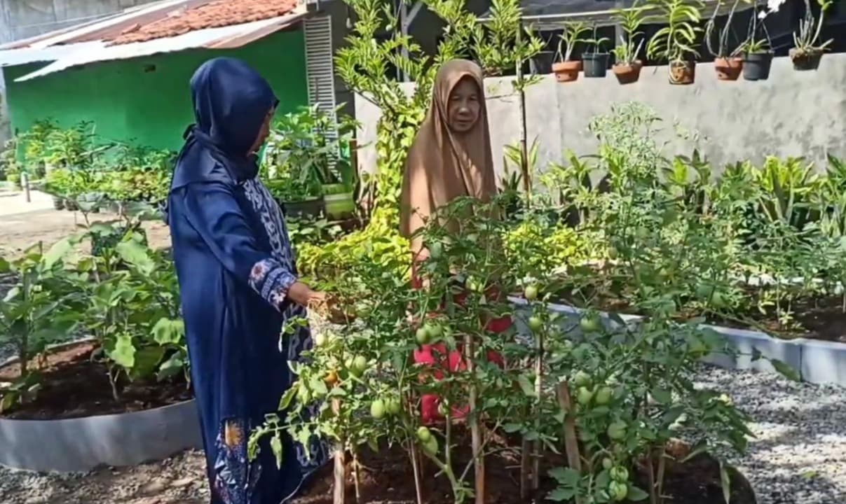 Warga Kemayoran Bangkalan Kompak Tanam Sayuran di Pekarangan Rumah