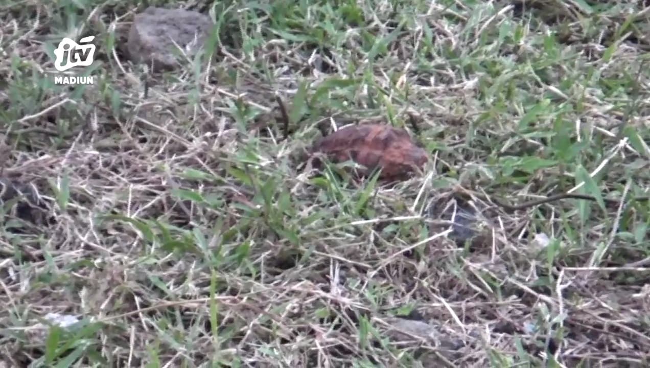 Heboh, Temuan Granat Diduga Aktif Di Pondok Lansia