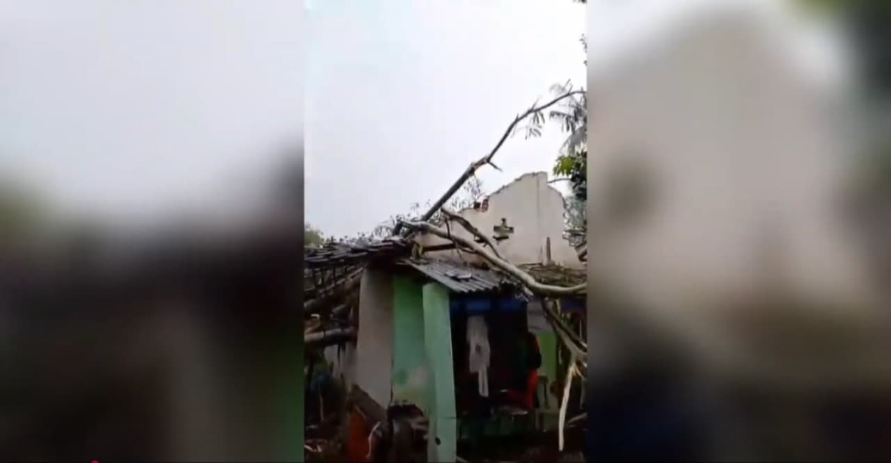 Hujan Angin di Blitar, 8 Rumah Warga Tertimpa Pohon Tumbang