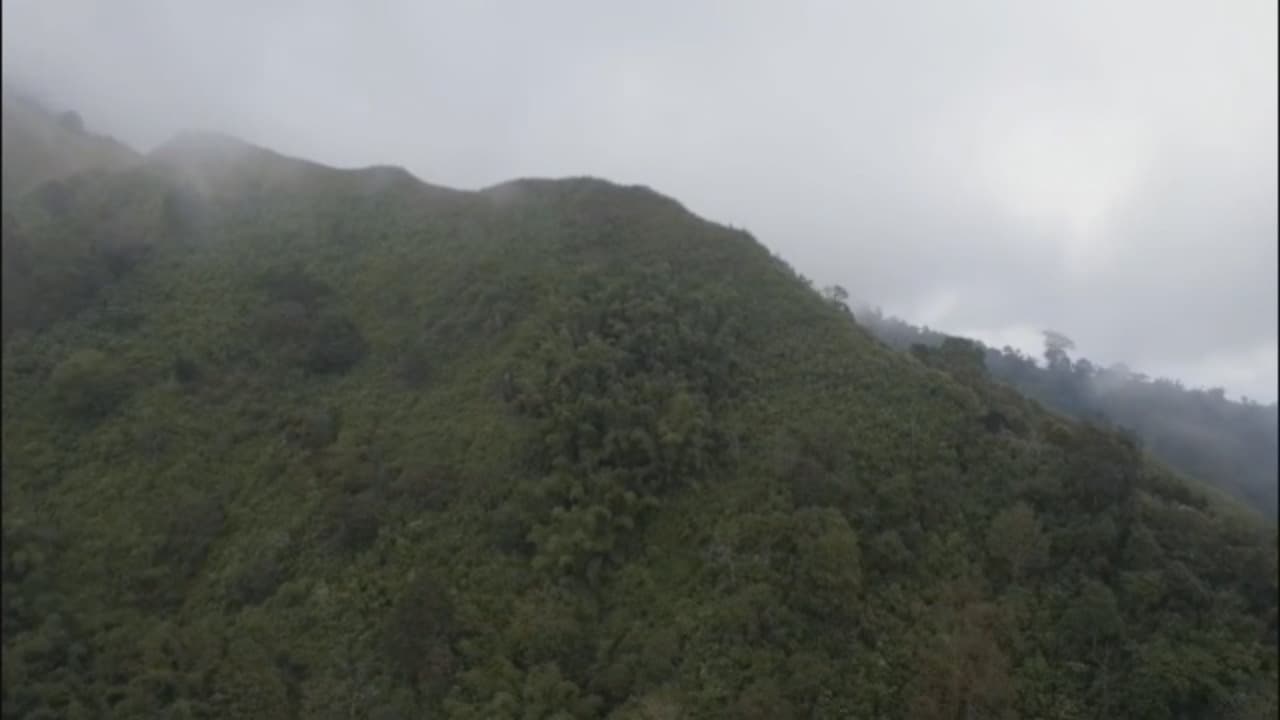 Gunung Piramid Bondowoso Ditutup, Jalur Maut Dinyatakan Terlarang