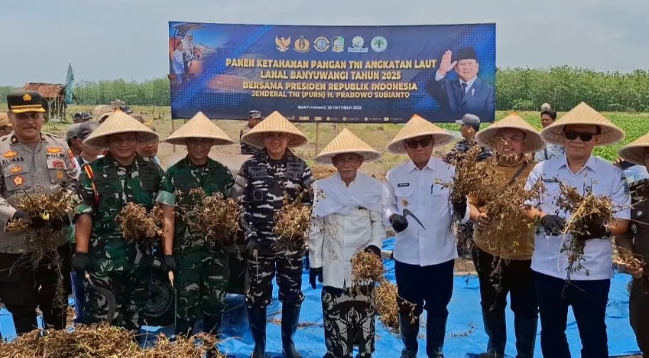 Pangkalan TNI AL Banyuwangi Gandeng Petani Tanam Kedelai, Target Lahan 60 Hektare