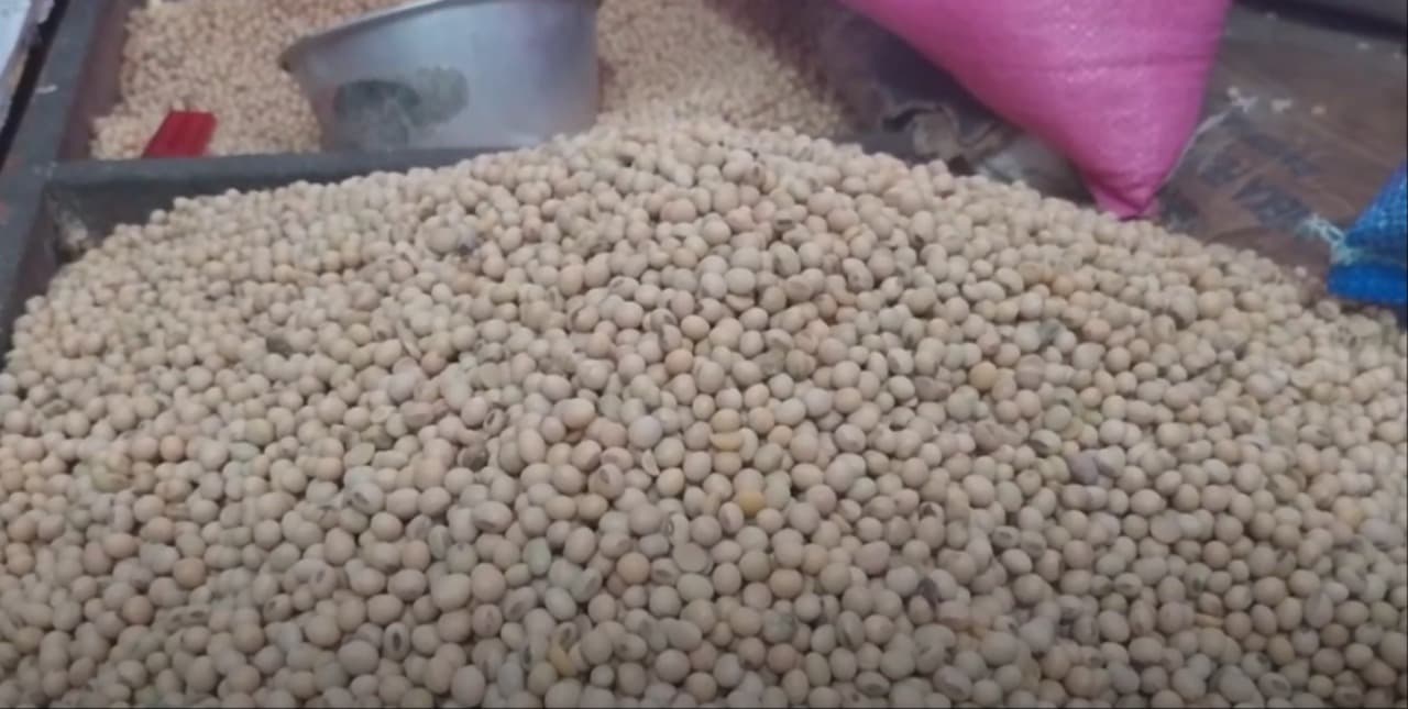 Harga Komoditas Palawija di Magetan Stabil, Kacang Hijau Tertinggi
